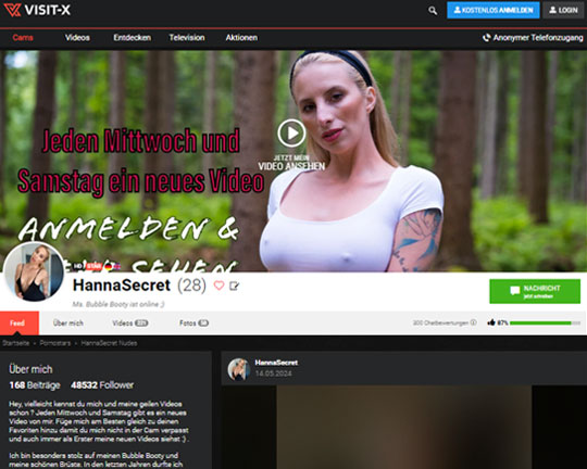 HannaSecret Logo